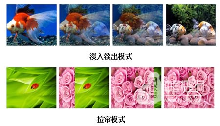 �o�p�ГQ���g�ɹ��\�õ�����ГQ��--V-TECH ���ָ����ϟo�p�ГQ����ГQ��