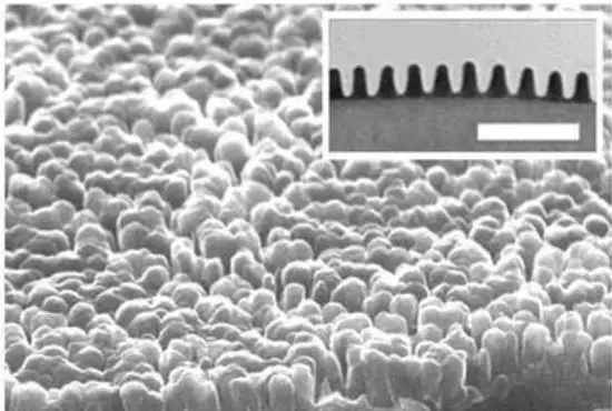 ϣ���׽̙C(j��)ȫ��������ѣ�⣬ȫ�����o(h��)��ͯҕ��