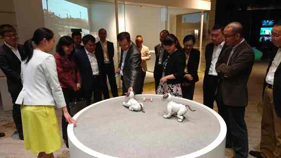 ���Ų��I���W�R���ῂ�����L���p������8K�������D��܇�f�h��