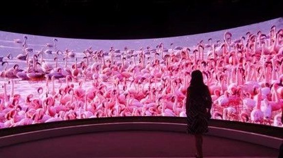 Ѻע�@������������ᡰ�ڲʾ��������u��