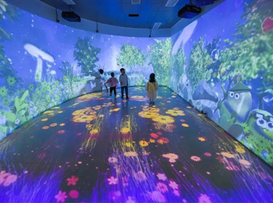 �����x���l�� ����ͶӰ���ʂ��yչꐡ���SEEMILE�������g�����p��