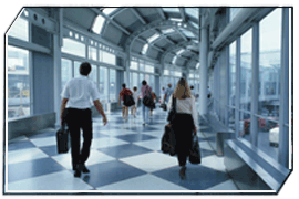 ��ý�w�v�_(t��i)������