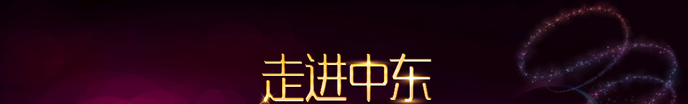 走進(jìn)中東,走進(jìn)迪拜視聽體驗(yàn)館座談_中國(guó)投影網(wǎng)專題報(bào)道