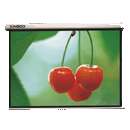 �Ĵ�ͶӰĻ������