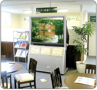 �V�|��Ͷƴ�Ӊ�������