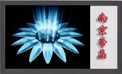 ͶӰĻ������